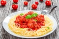 Italian spahgetti with meatballs and tomato sauce, close-up