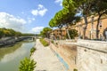Italian Stone Pine trees on the banks of the Tiber River in Rome, Italy. Royalty Free Stock Photo