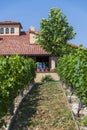 italian style house and vineyard Royalty Free Stock Photo