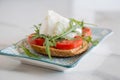 Italian style toast with light bread, arugula, tomato and mozzarella cheese Royalty Free Stock Photo