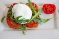 Italian style toast with light bread, arugula, tomato and mozzarella cheese Royalty Free Stock Photo