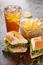 Italian sub sandwich with chips Royalty Free Stock Photo