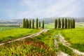 Italian summer landscape with cypresses