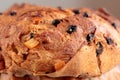 Italian sweet panettone