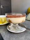 Italian Tiramisu multi-layer dessert, which includes mascarpone cheese, coffee, chicken eggs, sugar and savoyardi cookies