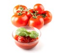 Italian Tomato and Basil