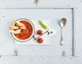 Italian tomato, garlic and basil soup Pappa al Pomodoro in metal bowl with bread white ceramic serving board over light Royalty Free Stock Photo