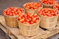 Italian tomatoes Royalty Free Stock Photo