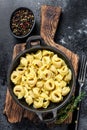 Italian tortellini pasta with cheese sauce in a pan. Black background. Top view Royalty Free Stock Photo