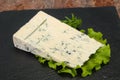 Italian traditional gorgonzola soft cheese Royalty Free Stock Photo