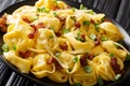 Italian traditional tortelloni with bacon, cheese and green onions close-up in a plate. horizontal