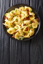 Italian traditional tortelloni with bacon, cheese and green onions close-up in a plate. Vertical top view