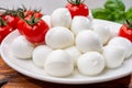 Italian tricolore, small balls of fresh white soft Italian mozzarella cheese, ripe red cherry tomatoes and fresh green basil herb