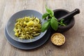 Italian troffie with pesto sauce Royalty Free Stock Photo