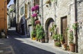 Italian typical houses