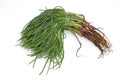 Italian vegetables - Agretti Royalty Free Stock Photo