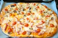 Italian vegetarian pizza on the baking tray.