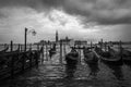 The Italian Venice. Black and white.