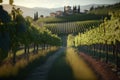 Italian vineyard landscape with a house, generative AI Royalty Free Stock Photo