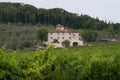 Italian vineyard on a sunny day Royalty Free Stock Photo