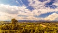 The beautiful vineyard of Collio, Friuli Venezia-Giulia, Italy Royalty Free Stock Photo