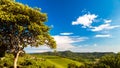 The beautiful vineyard of Collio, Friuli Venezia-Giulia, Italy