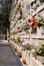 Italian wall cemetery with tombstones and artificial flowers on a sunny summer day in Venice, Italy, Island of San Michele.
