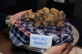 Italian white truffle