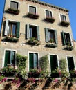 Italian windows with flowers, Venice