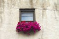 Italian Windowsill With Colorful Flowers