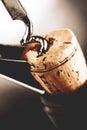 Italian wine tasting Royalty Free Stock Photo