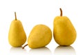 Yellow coscia pears