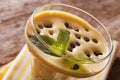 Italian Zabaione cream with chocolate and mint macro. horizontal Royalty Free Stock Photo