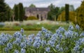 Italianate Garden on the Trentham Estate, Stoke-on-Trent, UK.  Camassia flowers in foreground. Royalty Free Stock Photo