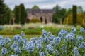 Italianate Garden on the Trentham Estate, Stoke-on-Trent, UK.  Camassia flowers in foreground. Royalty Free Stock Photo