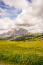 Alpe di Siusi, Seiser Alm with Sassolungo Langkofel Dolomite, a field with a mountain in the background