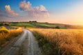 Italy autumn countryside landscape, dirty road and farmland over sunset sky