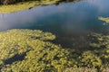 Italy, Cervia, saline nature panorama.