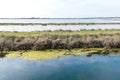 Italy, Cervia, saline nature panorama.