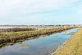 Italy, Cervia, saline nature panorama.