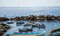 Italy Cinque Terre harbor with fisher boats