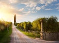 Italy countryside landscape with country road and old olive orchard ; sunset over Tuscany village