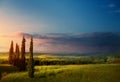 Art Italy countryside landscape with cypress trees on the mountain farmland