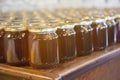 Italy, Emilia Romagna, the honey factory.