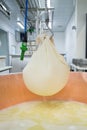 Italy, Emilia Romagna, production of Parmigiano Reggiano