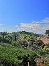 Italy Florence trees countryside green travel landscape Firenze day country