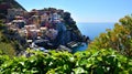 Italy Manarola Cinque terre Liguria