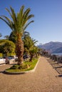 Italy, Menaggio, Lake Como, a group of palm trees on a sunny day