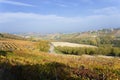 Italy, Piedmont, Alba panoramic view of the autumn landscape with its vineyards and hills Royalty Free Stock Photo