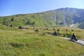 Group of vintage motorbike riders in landscape Royalty Free Stock Photo